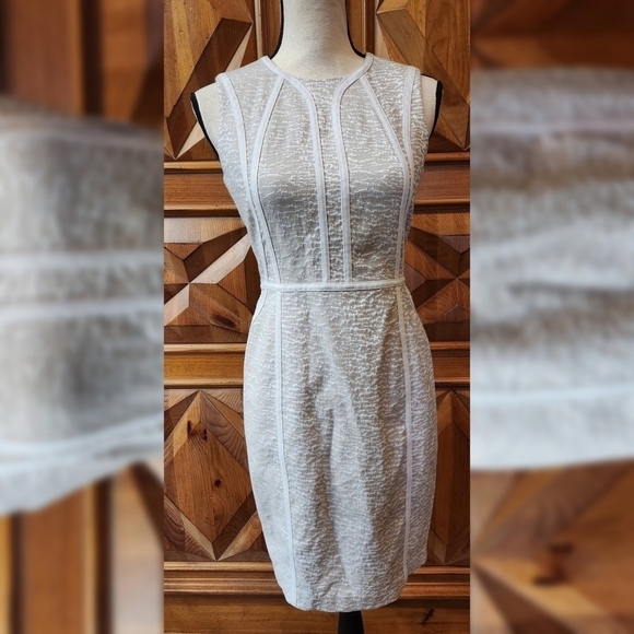 Calvin Klein Dresses & Skirts - Calvin Klein Tan Sheath Dress Sz 4P
